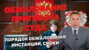 Порядок обжалования приговора суда по уголовному делу. Апелляция, кассация, надзор. Порядок и сроки