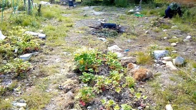 На даче (№1) смотреть онлайн