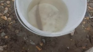 1МАЯ, отдых с семьёй на природе