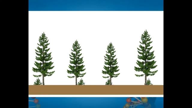 6 класс, Естествознание, Причины смены экосистем. 3 урок