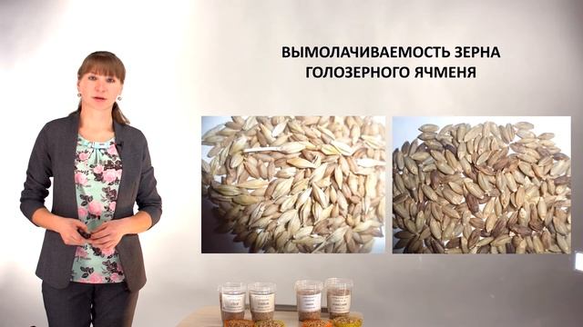 Лекция 5 Особенности голозерных форм ячменя и овса Логинова А О проект Виртуальный научный десант смотреть онлайн