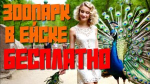 ЗООПАРК в Ейске - СВОБОДНЫЙ ВХОД! За билет не плати, а животных посмотри! #ейск #отдыхвейске