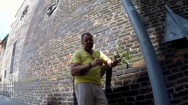 Растущие из камней.Почему так надо. смотреть онлайн