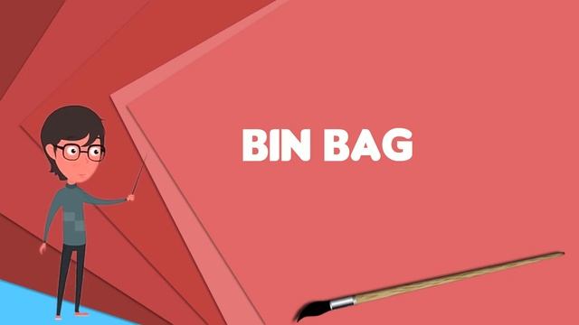 What is Bin bag? Explain Bin bag, Define Bin bag, Meaning of Bin bag смотреть онлайн