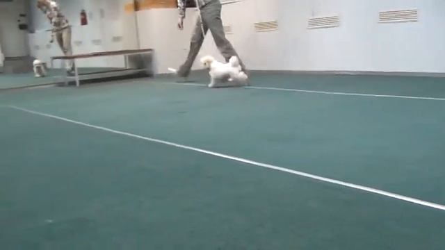 M2U00389 смотреть онлайн