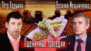 Пшеничные трагедии #ВасилийМельниченко #ПётрХодыкин #ЮлияСунцова