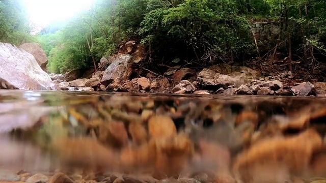 «Сын между шашлыками и матерью выбирает шашлыки! — обижается свекровь. смотреть онлайн