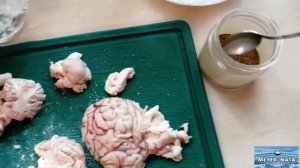 . Готовим МОЗГ ГОВЯЖИЙ ?? Очень простой рецепт.