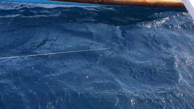 Филиппинская рыбалка! смотреть онлайн