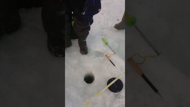 Первая поимка на самоделку