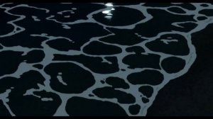 Главное о вондере | тульповодство