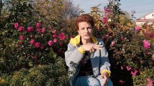 Когда обрезать и укрывать розы