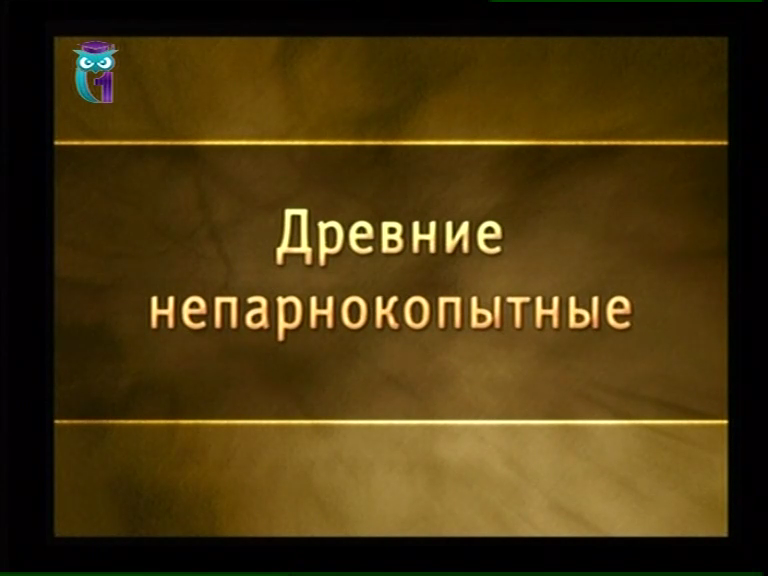 Вымершие млекопитающие кайнозоя. Урок 7. Древние непарнокопытные