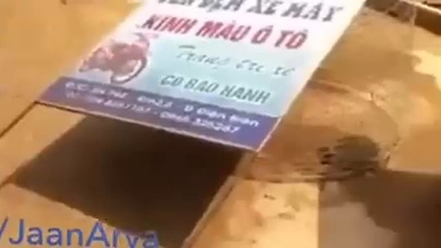 СОБАКА РАЗНИМАЕТ ДРАКУ КУРИЦ ★★★★★ BESTOFYOUTUBE.RU ★★★★★ смотреть онлайн