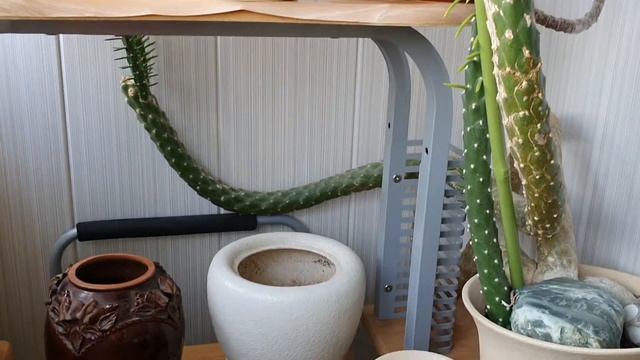 ЗИМНИЙ ЦВЕТОЧНЫЙ БАЛКОН 2021 | Невышивальное смотреть онлайн