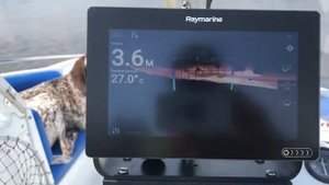 Эхолот Raymarine 9 AXIOM RealVision 3D
