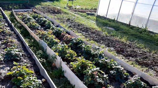 Моя дача ,осень! смотреть онлайн