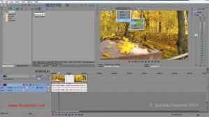 Урок 18. Из видео делаем фото в Sony Vegas.