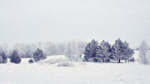 Футаж. Зимний пейзаж 79