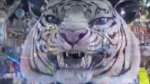Brazil Carnival.  Бразилия Карнавал.