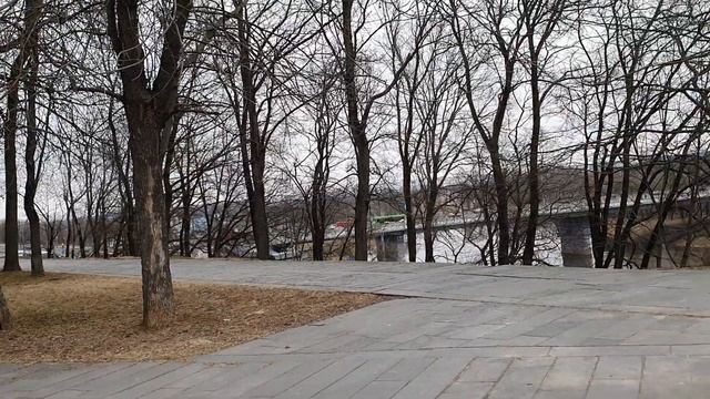Обзор влогов / Многомама / У многомамы есть ХОМЯКИ или это она сама и есть?!