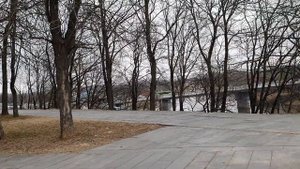 Обзор влогов / Многомама / У многомамы есть ХОМЯКИ или это она сама и есть?!