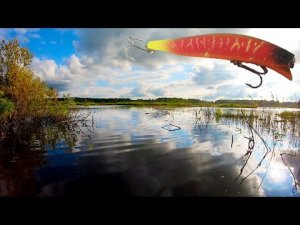 ОФИГЕЛ от Количества ЩУКИ на этом БОЛОТЕ! Рыбалка на спиннинг в июле 2021