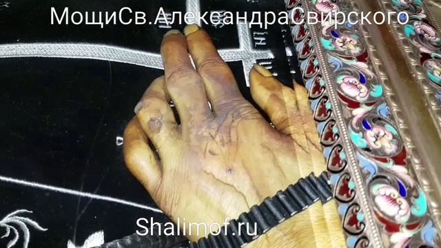 Нетленные Мощи. Преподобный Александр Свирский смотреть онлайн