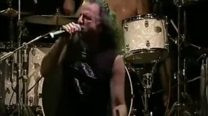 krokus Hellraiser