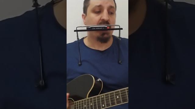 Georgia On My Mind (Guitar and Harmonica)