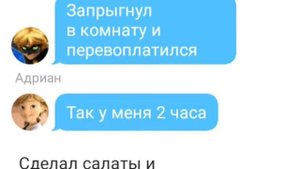 Переписка Леди Баг и супер кот кодовое слово 5 часть КОНЕЦ