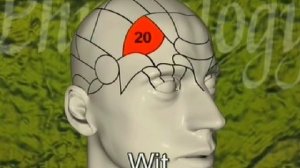 Френология. Гадание по форме головы