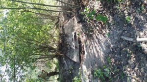 1000кг за день удачный коп металлолома.mp4