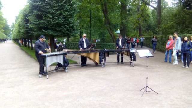 Классные музыканты на одной из аллей в Петергофе смотреть онлайн