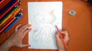 Как нарисовать осьминога карандашом. Онлайн-школа рисования "Малевашки"