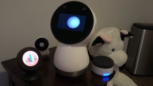 Jibo, Alexa and Google Home Robot Talk