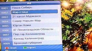 Обзор Wi Fi  адаптера и подключение приставки Т2  к интернету