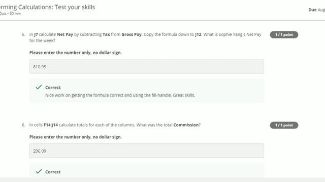 Excel skills for business : Essentials course 1 week 2 [COURSERA] [MACQUARIE UNIVERSITY]