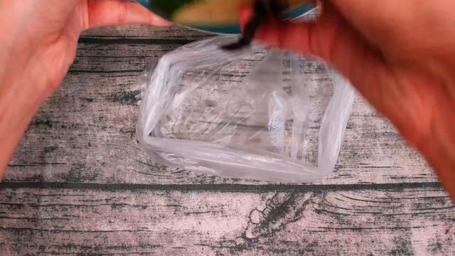 Кабачки на гриле. Маринад для овощей на гриле. Теперь вы приготовите вкусные кабачки.