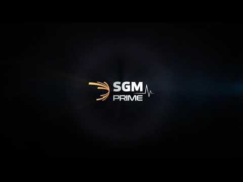 Шумоизоляция SGM Barrier Mix PROFI 9mm и SGM Stripe.