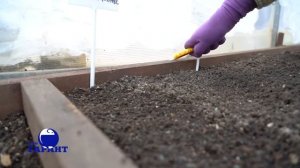 Абсолют Супер гель убийца муравьев