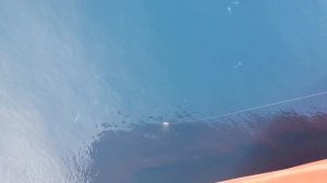 041?На борту. LPG Tanker. Есть время для рыбалки. Газовозы. Электромеханик. Thomeatwork.