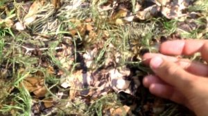 Как сделать маскировочный костюм Ghillie для снайпера в страйкболе своими руками