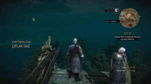 Imlerith sonu geldi intikam alındı | The Witcher 3 : Wild Hunt Türkçe Altyazı Gameplay PS4 Bölüm 13