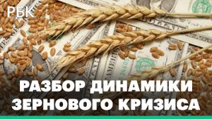 Разбор ситуации с продовольственным кризисом и рынками зерна
