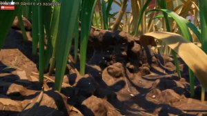 ИСТОРИЯ СТРАШНОГОЛОВЫЙ