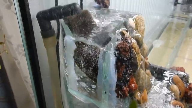 Устройство моего палюдариума.