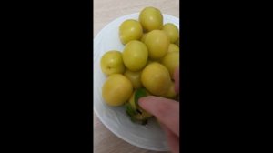 #Shorts Белая слива