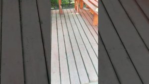 Акватекс Грунт Антисептик цвет Рябина  2021 впечатления спустя год