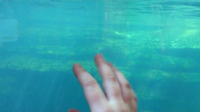 VLOG СКАЗОЧНЫЙ ПАРК Merveilleux ЛЮКСЕМБУРГ !!! смотреть онлайн